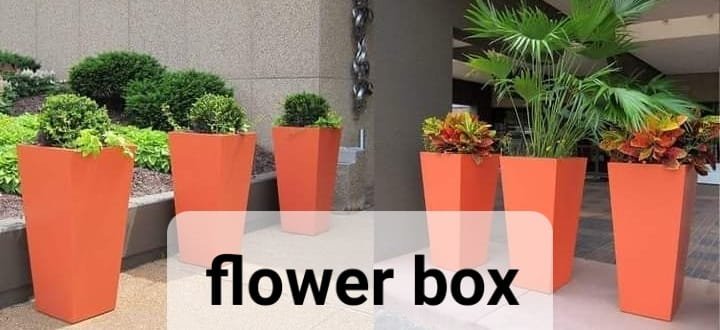 WhatsApp-Image-2023-10-29-at-9.39.57-PM