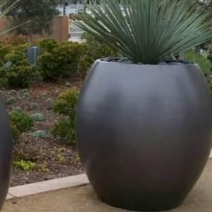 WhatsApp-Image-2023-11-01-at-16.00.01