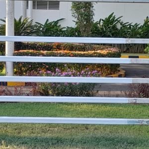 d3dcefb6-0d41-439f-a1f3-25ed9b7ebac9-1